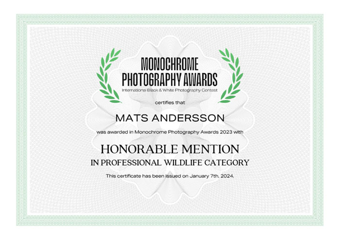 Monochrome Photography Awards Mats Andersson