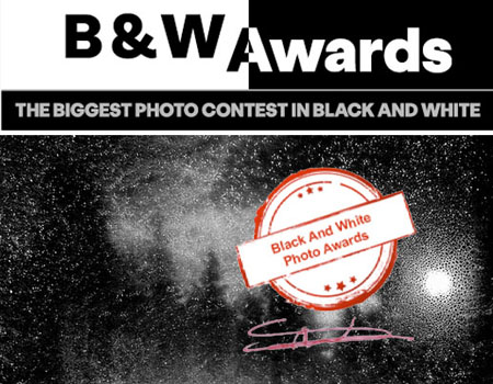 Mats Andersson vinner silver i B&W Photography Awards i Paris 2025