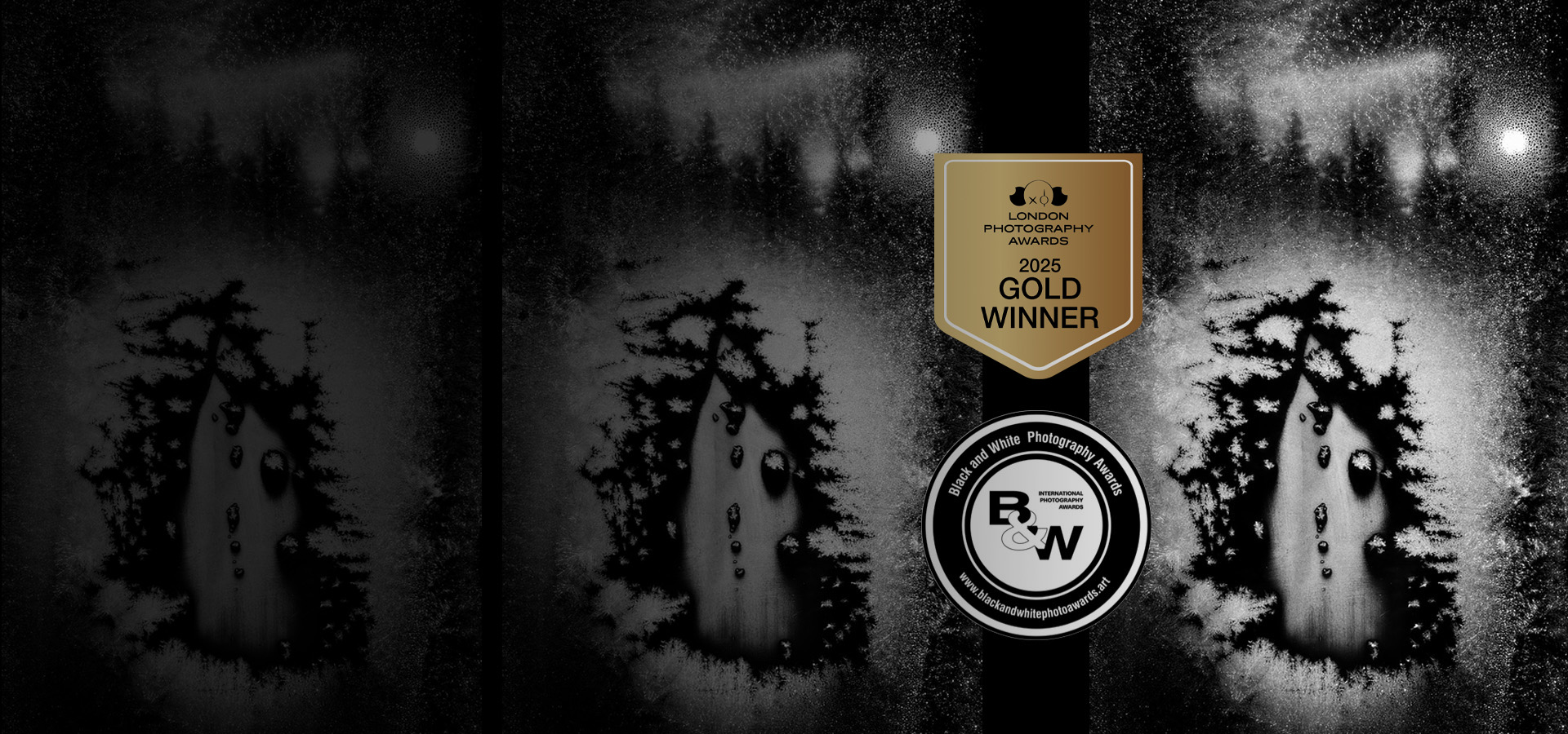 Gold winner in London and Silver winner in Paris 2025