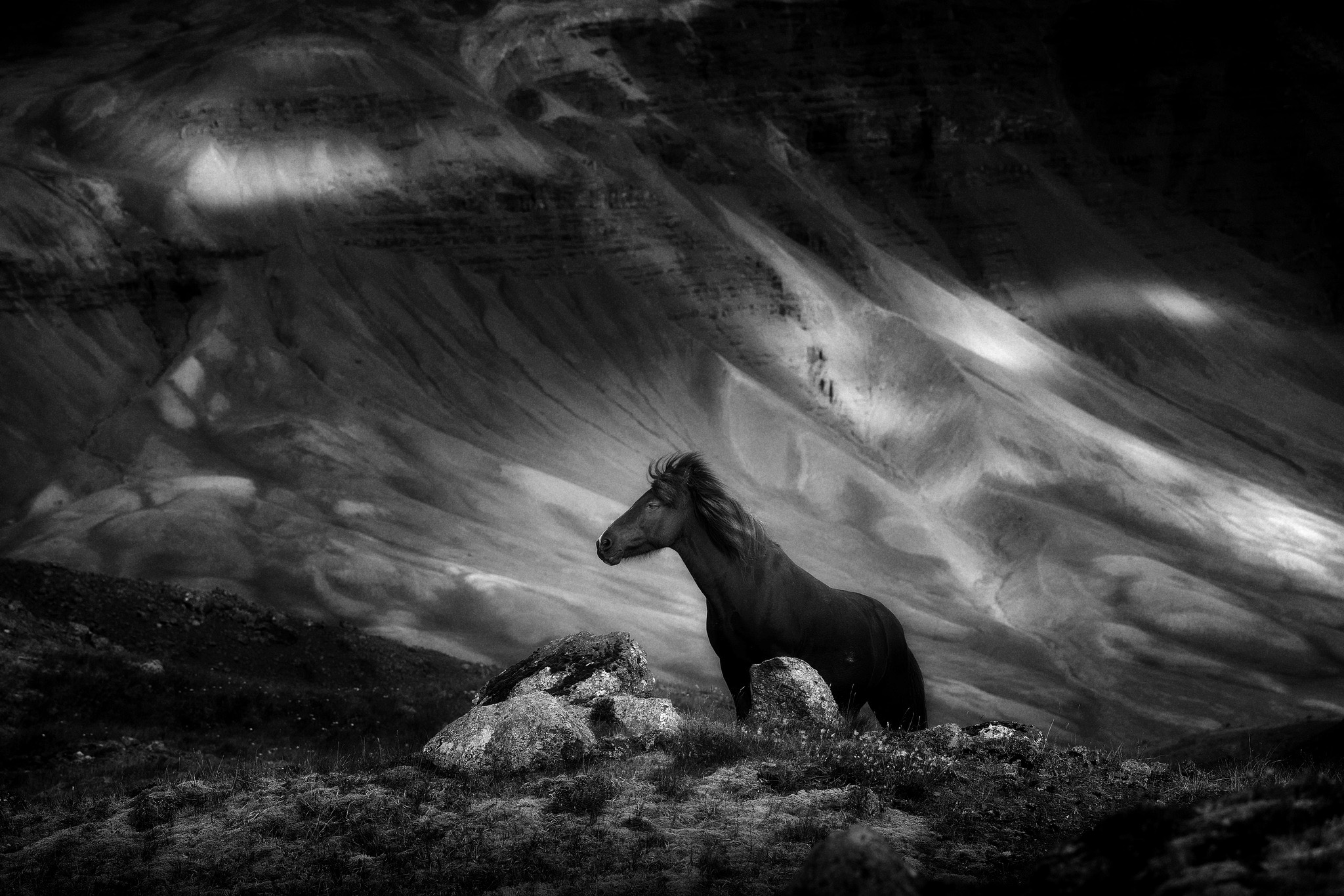 New Your Photography Awards 2023 Mats Andersson The Mountain Horse, Iceland